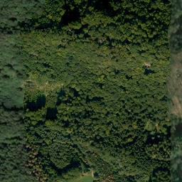 Satellite imagery of Schweinsberg, DE