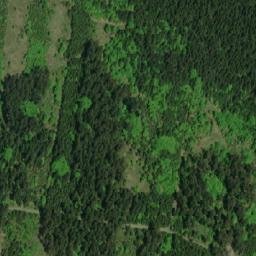 Satellite imagery of Křivý javor [Fryšava], CZ
