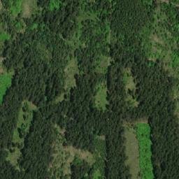 Satellite imagery of Křivý javor [Fryšava], CZ