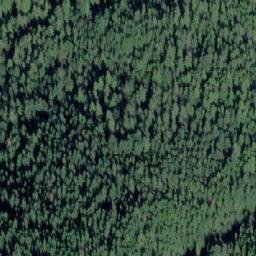 Satellite imagery of Newcomb Point, CA