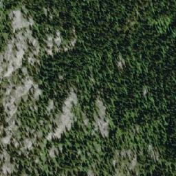 Satellite imagery of Greyback Mountain, CA