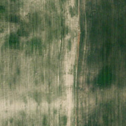 Satellite imagery of Wild Turnip Hill, CA