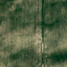 Satellite imagery of Wild Turnip Hill, CA