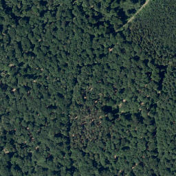 Satellite imagery of Wagenberg, DE