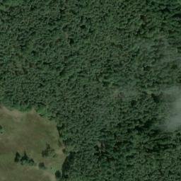 Satellite imagery of Dachsberg, DE
