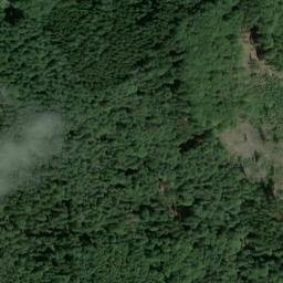 Satellite imagery of Dachsberg, DE
