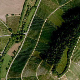 Satellite imagery of Steinbuckel, DE