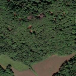 Satellite imagery of Schweinsberg, DE