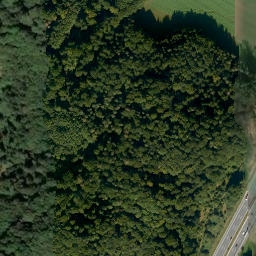 Satellite imagery of Schweinsberg, DE