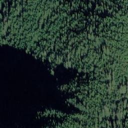 Satellite imagery of Black Bear Bluff, CA