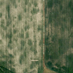 Satellite imagery of Wild Turnip Hill, CA