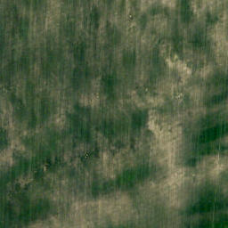 Satellite imagery of Wild Turnip Hill, CA
