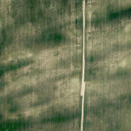 Satellite imagery of Wild Turnip Hill, CA