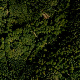 Satellite imagery of Mühlberg, DE