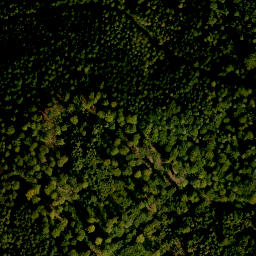 Satellite imagery of Wolkmannberg, DE