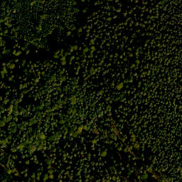 Satellite imagery of Wolkmannberg, DE