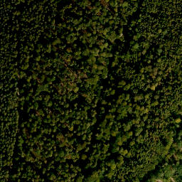 Satellite imagery of Wolkmannberg, DE