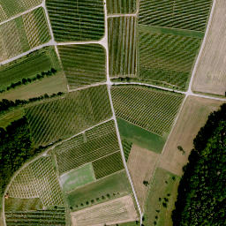 Satellite imagery of Steinbuckel, DE