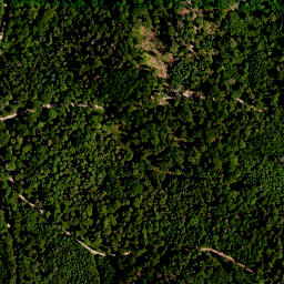 Satellite imagery of Steinbürg, DE