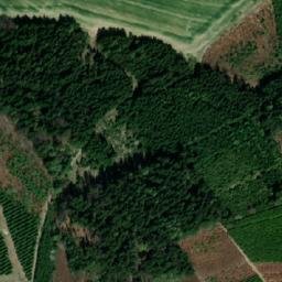 Satellite imagery of Javor, CZ