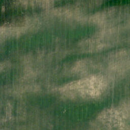 Satellite imagery of Wild Turnip Hill, CA