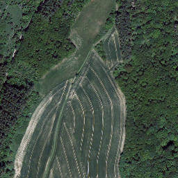 Satellite imagery of Leienberg, DE