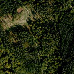 Satellite imagery of Mühlberg, DE