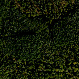 Satellite imagery of Wolkmannberg, DE