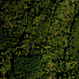 Satellite imagery of Wolkmannberg, DE