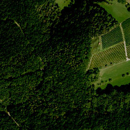 Satellite imagery of Steinbuckel, DE