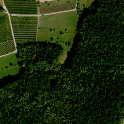 Satellite imagery of Steinbuckel, DE