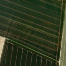 Satellite imagery of 0209704 - A, BE
