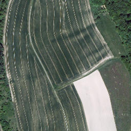 Satellite imagery of Leienberg, DE