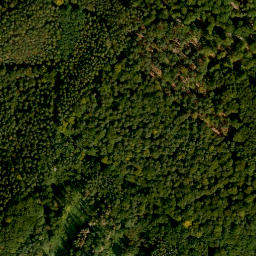 Satellite imagery of Wolkmannberg, DE