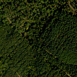 Satellite imagery of Wolkmannberg, DE