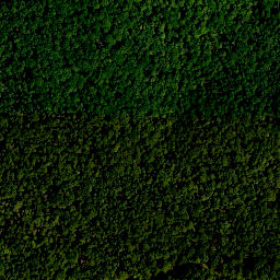 Satellite imagery of Iffigheimer Berg, DE