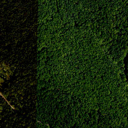 Satellite imagery of Schneckenberg, DE