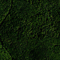 Satellite imagery of Schneckenberg, DE