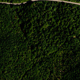 Satellite imagery of Seinsheimer Katzenzipfel, DE