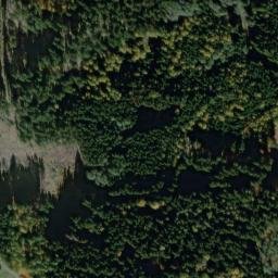 Satellite imagery of Bukač [Třemešné-Nová Ves pod Přimdou], CZ
