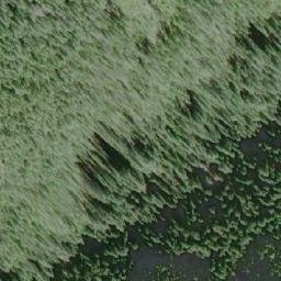Satellite imagery of Mount Gore, CA