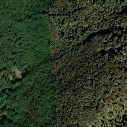 Satellite imagery of Sendeturm Donnersberg, DE