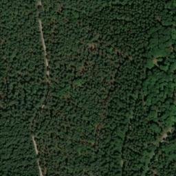 Satellite imagery of Kohlwald, DE