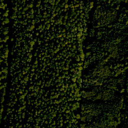 Satellite imagery of Beuchener Berg, DE