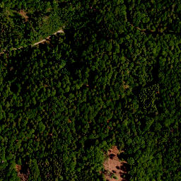 Satellite imagery of Seinsheimer Katzenzipfel, DE