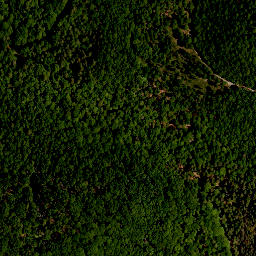 Satellite imagery of Seinsheimer Katzenzipfel, DE