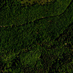 Satellite imagery of Seinsheimer Katzenzipfel, DE