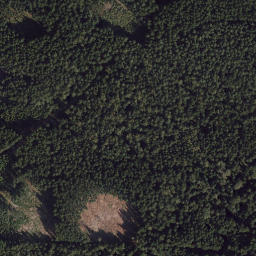 Satellite imagery of 7/2, DE