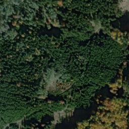 Satellite imagery of Bukač [Třemešné-Nová Ves pod Přimdou], CZ