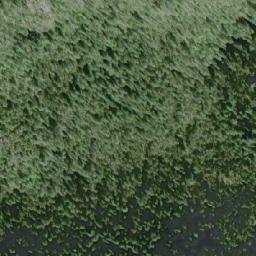 Satellite imagery of Mount Gore, CA